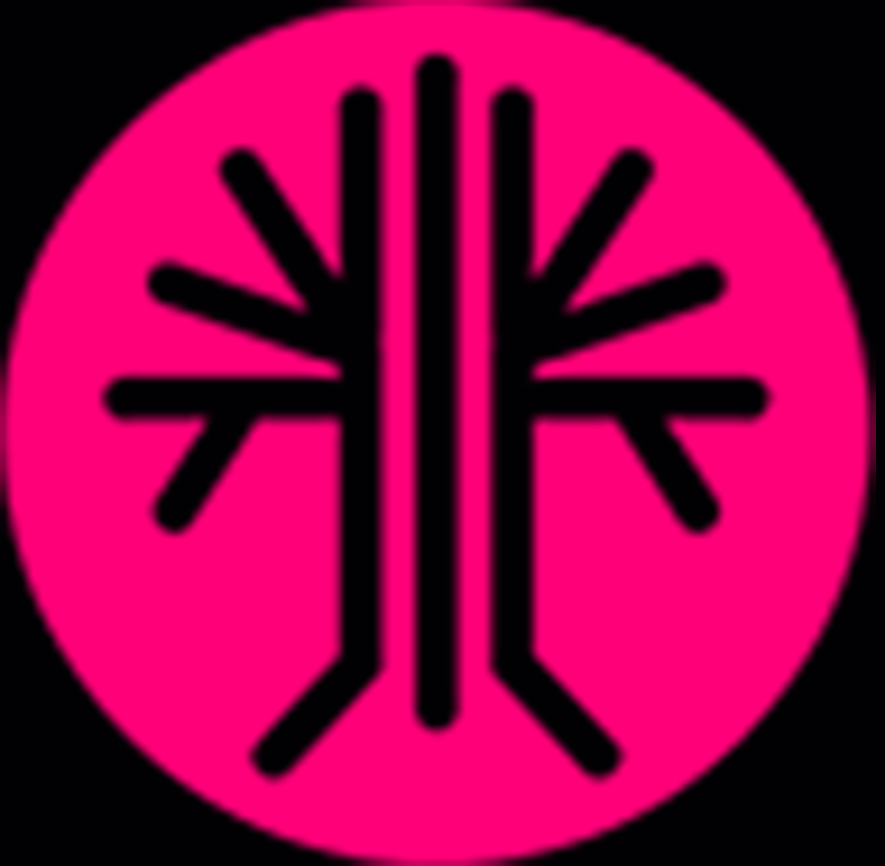 Inzuna Logo